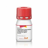 Polyaniline (emeraldine salt) short chain, grafted to lignin powder