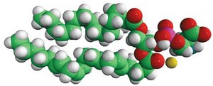 16:0-20:4 PS 1-palmitoyl-2-arachidonoyl-sn-glycero-3-phospho-L-serine (sodium salt), chloroform