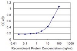 Monoclonal Anti-TRAF1 antibody produced in mouse clone 1A6, purified immunoglobulin, buffered aqueous solution