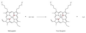 Antioxidant Assay Kit sufficient for 200 tests
