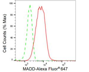 KD-Validated Anti MAP Kinase Activating Death Domain Antibody, clone 24GB110, Rabbit Monoclonal clone 24GB110, recombinant rabbit monoclonal, expressed in HEK293 cells