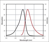 Anti-Goat IgG (H+L), highly cross-adsorbed, CF™ 488A antibody produced in donkey ~2 mg/mL, affinity isolated antibody