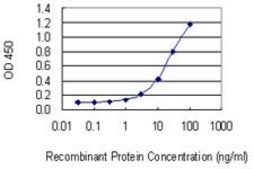Monoclonal Anti-SLC30A5 antibody produced in mouse clone 2F10-2B8, purified immunoglobulin, buffered aqueous solution