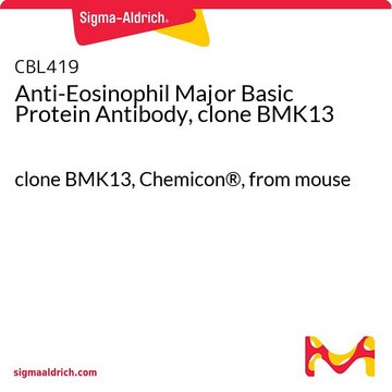 Anti-Eosinophil Major Basic Protein Antibody, clone BMK13 clone BMK13, Chemicon&#174;, from mouse