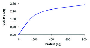 PTPN2, active, GST tagged human recombinant, expressed in E. coli, ≥70% (SDS-PAGE), buffered aqueous glycerol solution