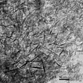 Óxido de alúmina nanopowder, <50 nm particle size (TEM)