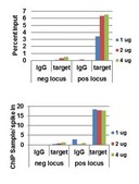AccuChIP Trimethyl-Histone H3 Internal Control(Lys27) Chromatin Immunoprecipitation target-specific spike-in controls that make ChIP experiments more quantitative and accurate