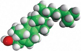 8(9)-dehydrocholesterol Avanti Research™ - A Croda Brand