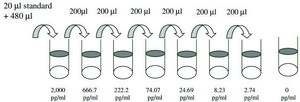 Human CXCL16 ELISA Kit for serum, plasma, cell culture supernatant and urine