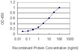 Monoclonal Anti-FRMD3 antibody produced in mouse clone 2F1, purified immunoglobulin, buffered aqueous solution