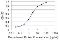Monoclonal Anti-SMS antibody produced in mouse clone 1G6, purified immunoglobulin, buffered aqueous solution