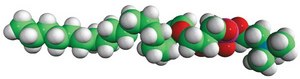 C18(Plasm) LPC 1-O-1′-(Z)-octadecenyl-2-hydroxy-sn-glycero-3-phosphocholine, powder