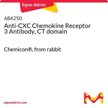 Anti-CXC Chemokine Receptor 3 Antibody, CT domain Chemicon&#174;, from rabbit