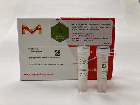T7 RNA Polymerase &#8805;50,000 units/mL, aqueous solution