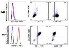 Anti-MS4A4A Antibody, clone 3F2 clone 3F2, from mouse