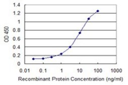 Monoclonal Anti-SULT2B1, (N-terminal) antibody produced in mouse clone 2E5, purified immunoglobulin, buffered aqueous solution