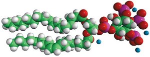 18:1 PI(3,4,5)P3 1,2-dioleoyl-sn-glycero-3-phospho-(1′-myo-inositol-3′,4′,5′-trisphosphate) (ammonium salt), powder