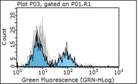 Anti-Integrin β1 Antibody, clone P5D2 clone P5D2, Chemicon®, from mouse