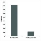 Anti-phospho-GRB2 (pSer159) antibody produced in rabbit affinity isolated antibody