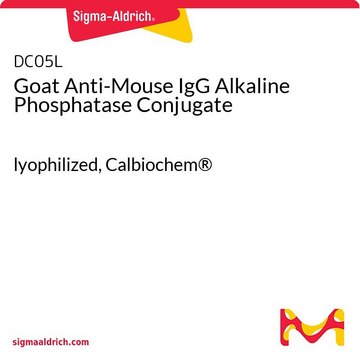 Goat Anti-Mouse IgG Alkaline Phosphatase Conjugate lyophilized, Calbiochem&#174;