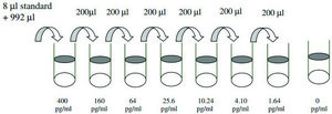 Mouse PLGF-2 ELISA Kit for serum, plasma and cell culture supernatant