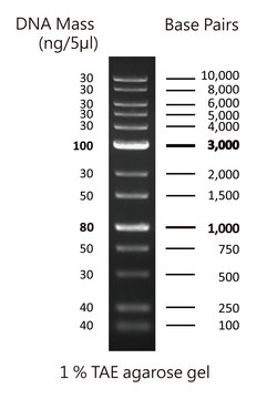 Merck R1 R2 Ladder DirectLoad™ Plus 1kb DNA Ladder | Sigma-Aldrich