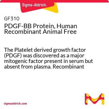 PDGF-BB Protein, Human Recombinant Animal Free The Platelet derived growth factor (PDGF) was discovered as a major mitogenic factor present in serum but absent from plasma. Recombinant animal free human PDGF-BB is manufactured using all non-animal reagents.