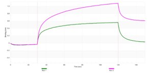 Anti-SPHK1 Antibody, clone 2H5 ZooMAb® Rabbit Monoclonal recombinant, expressed in HEK 293 cells