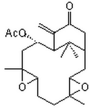 Hypoestoxide, Hypoestes rosea A naturally occurring, cell-permeable diterpene with anti-inflammatory properties.