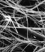 グラスファイバーフィルター接着剤使用 Millipore, filter diam. 25 mm, hydrophilic, thickness 1.2 mm
