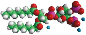 08:0 PI(3,4)P2 1,2-dioctanoyl-sn-glycero-3-phospho-(1′-myo-inositol-3′,4′-bisphosphate) (ammonium salt), powder