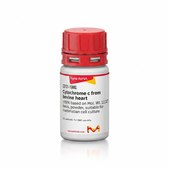 Cytochrome c from bovine heart ≥95% based on Mol. Wt. 12,327 basis, powder, suitable for mammalian cell culture