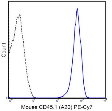 Anti-CD45.1 Antibody (mouse), PE-Cy7, clone A20 clone A20, 0.2&#160;mg/mL, from mouse