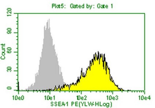 Anti-SSEA-1 Antibody, clone MC-480, PE conjugate clone MC-480, from mouse, PE