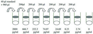 Human EGFR / ErbB1 ELISA Kit for serum, plasma, cell culture supernatants and urine