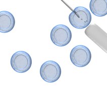 ReNcell 神経幹細胞凍結培地 ReNcell Neural Stem Cell Freezing Medium is qualified for use with ReNcell immortalized human neural progenitor cell lines, CX.