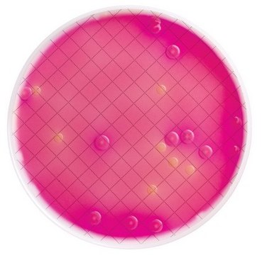 Milliflex&#174; Pre-filled Media Cassettes MacConkey Agar, for lactose-fermenting bacteria, pack of 48&#160;tests, suitable for bioburden testing