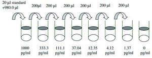 Human TGF-α ELISA Kit for serum, plasma, cell culture supernatants and urine