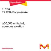 T7 RNA Polymerase ≥50,000 units/mL, aqueous solution
