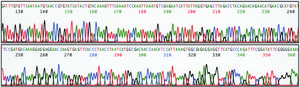 REDExtract-N-Amp™ Seed PCR Kit sufficient for 100 extractions, sufficient for 100 amplifications