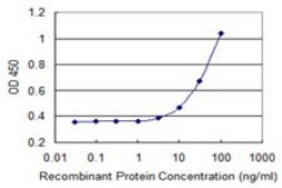 Monoclonal Anti-PEX10 antibody produced in mouse clone 1B8, purified immunoglobulin, buffered aqueous solution