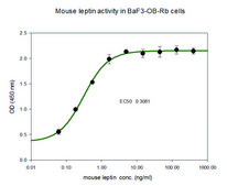 Leptin from mouse ≥98% (SDS-PAGE), recombinant, expressed in E. coli, lyophilized powder