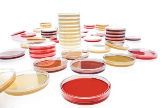 Tryptic Soy Agar - Ready-to-use Settle Plates HEIMPLATE, Tween&#174;, Histidine, Lecithin, Settle plate, irradiated, plate diam. 90&#160;mm, suitable for air monitoring