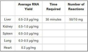 High Pure RNA Tissue Kit sufficient for 50 isolation(s), suitable for RT-PCR, suitable for Northern blotting