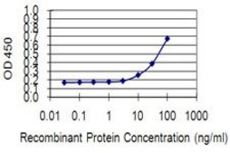 Monoclonal Anti-KIF13B antibody produced in mouse clone 6E11, purified immunoglobulin