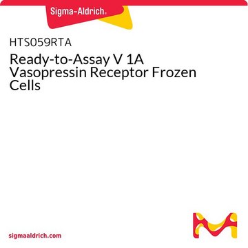 Ready-to-Assay V 1A Vasopressin Receptor Frozen Cells