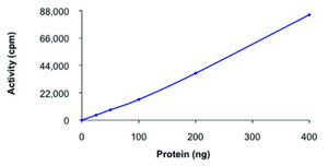 MSK2, active, GST tagged from mouse PRECISIO® Kinase, recombinant, expressed in baculovirus infected Sf9 cells, ≥70% (SDS-PAGE), buffered aqueous glycerol solution