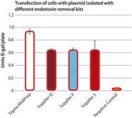 GenElute™ Endotoxin-free Plasmid Maxiprep Kit sufficient for 15 purifications
