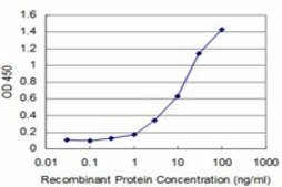 Monoclonal Anti-FGF8 antibody produced in mouse clone 3H2, purified immunoglobulin, buffered aqueous solution