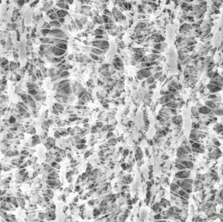 PTFEメンブレンフィルター、0.45 μm孔径 Millipore, filter diam. 47